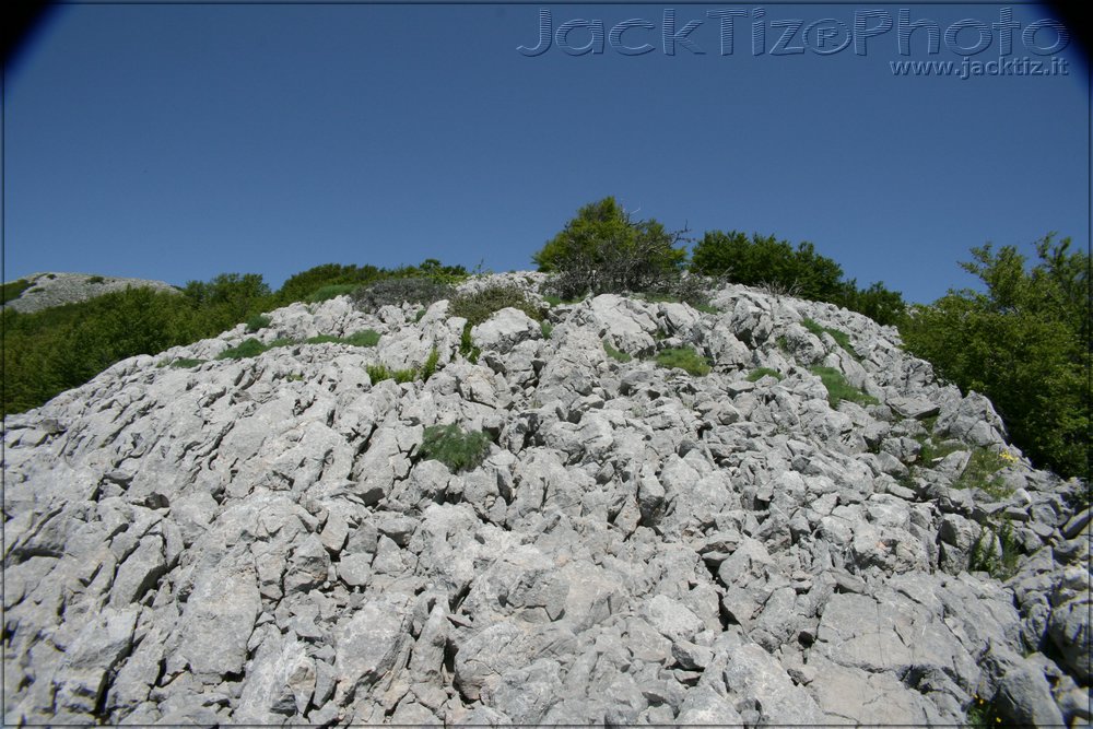 JackTiz - Copyright
11.39 domenica 24 maggio 2009