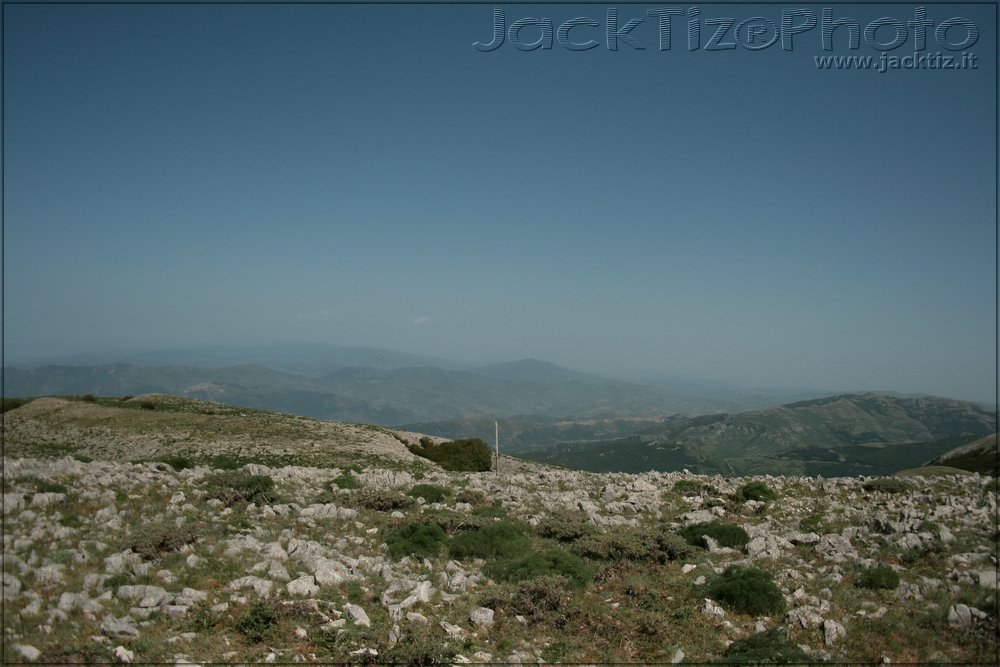 JackTiz - Copyright
15.29 domenica 24 maggio 2009