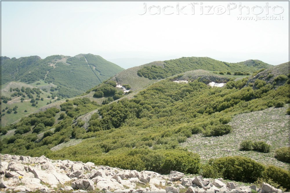 JackTiz - Copyright
15.39 domenica 24 maggio 2009