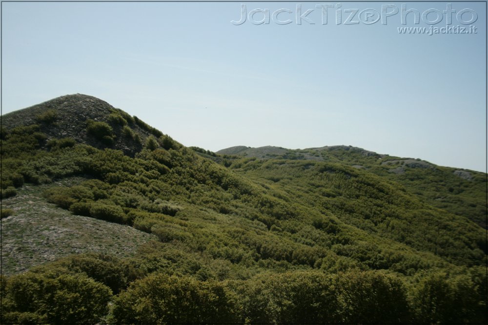 JackTiz - Copyright
15.43 domenica 24 maggio 2009