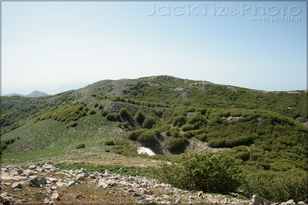 JackTiz - Copyright
15.55 domenica 24 maggio 2009
