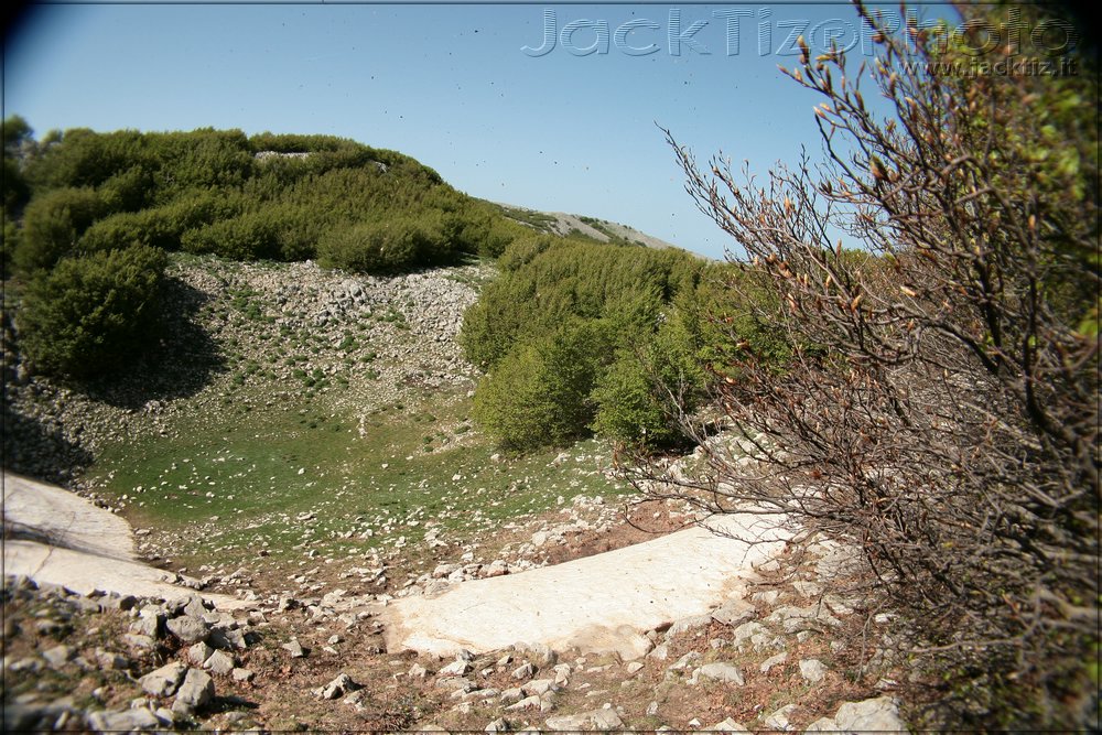 JackTiz - Copyright
16.11 domenica 24 maggio 2009