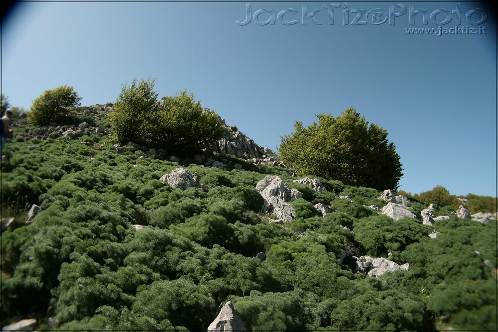 JackTiz - Copyright
16.14 domenica 24 maggio 2009