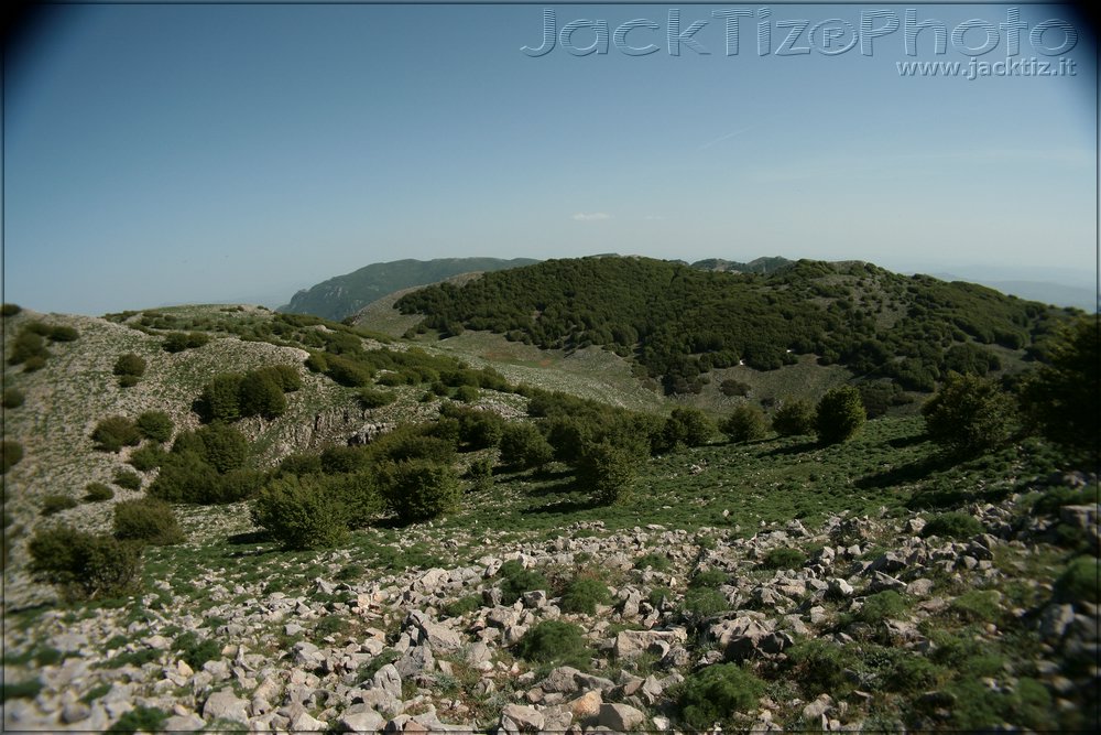 JackTiz - Copyright
16.30 domenica 24 maggio 2009