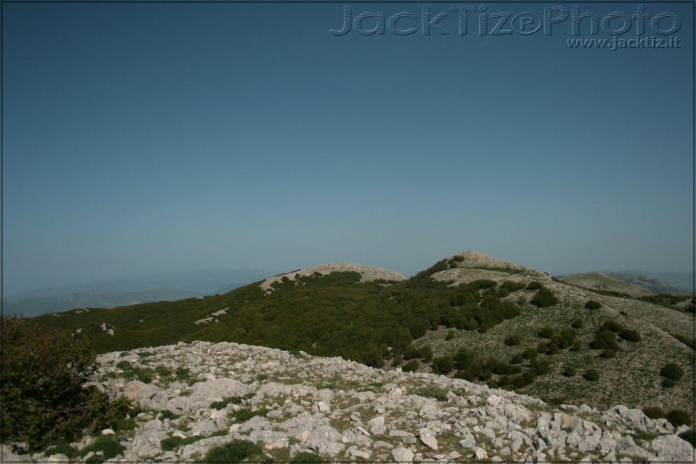 JackTiz - Copyright
16.33 domenica 24 maggio 2009