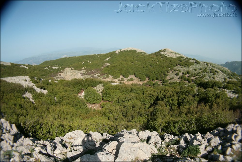 JackTiz - Copyright
16.56 domenica 24 maggio 2009