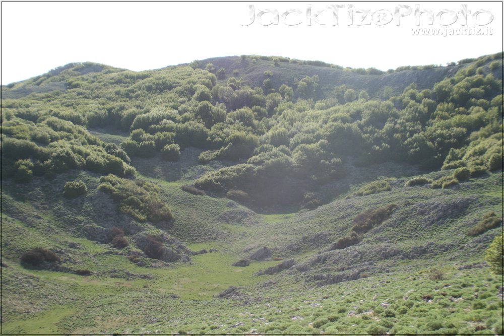 JackTiz - Copyright
17.20 domenica 24 maggio 2009