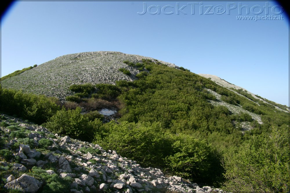JackTiz - Copyright
17.27 domenica 24 maggio 2009