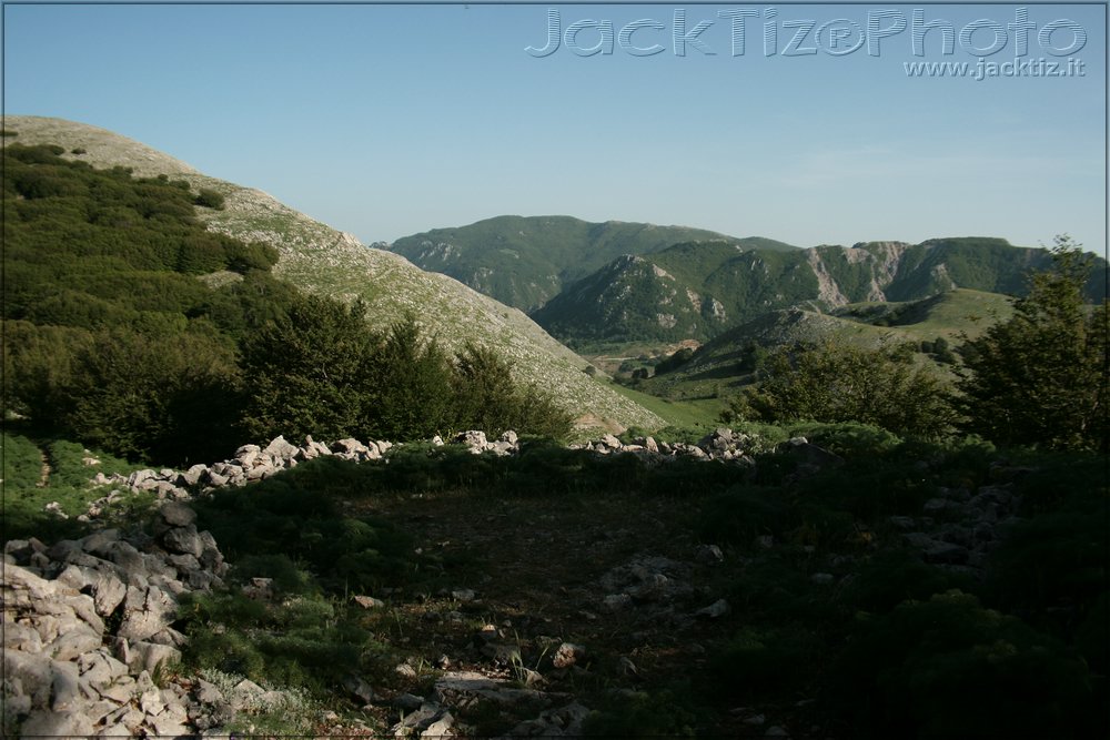 JackTiz - Copyright
17.41 domenica 24 maggio 2009
