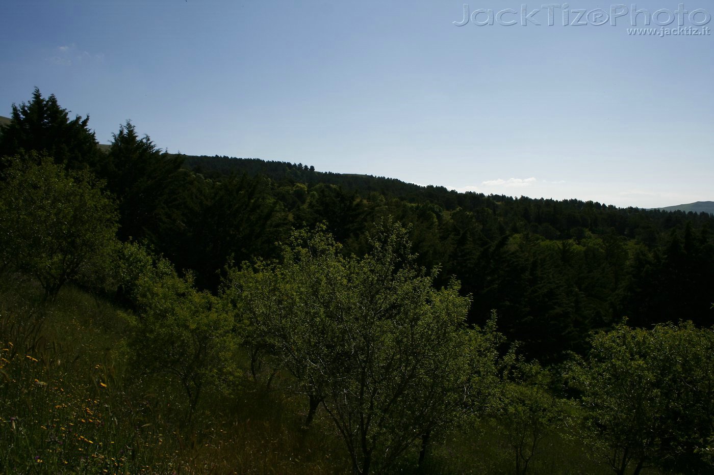 JackTiz - Copyright