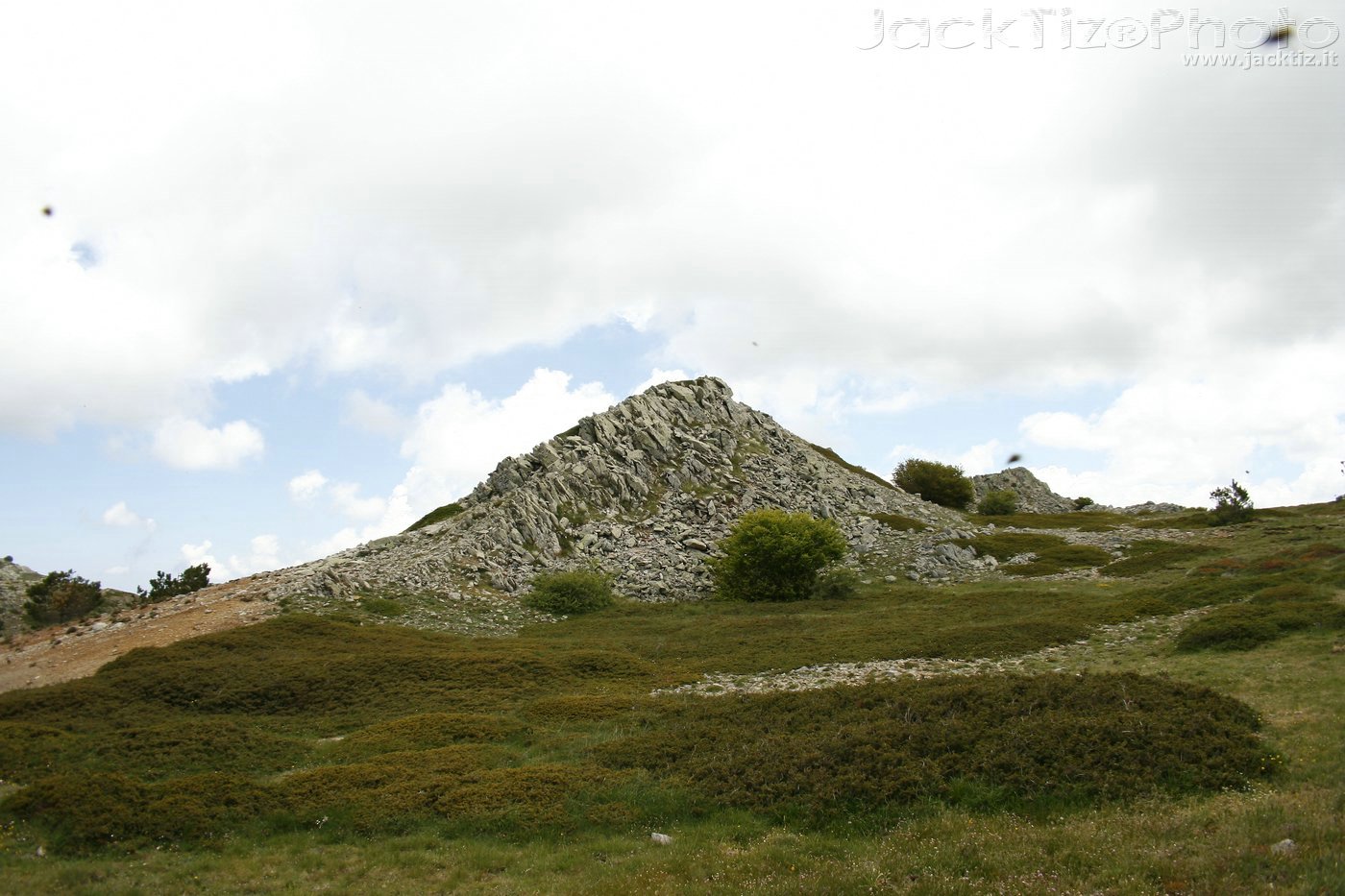 JackTiz - Copyright