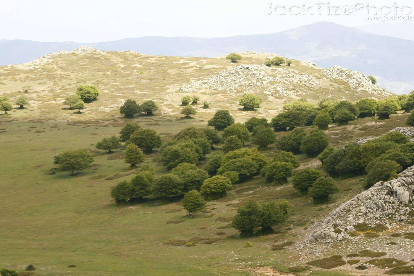 JackTiz - Copyright