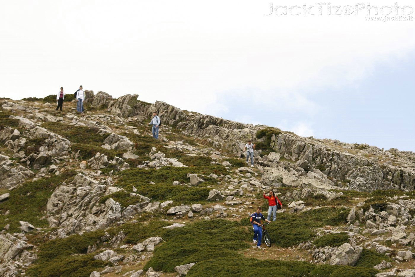 JackTiz - Copyright