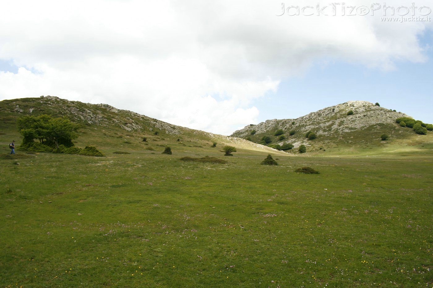 JackTiz - Copyright