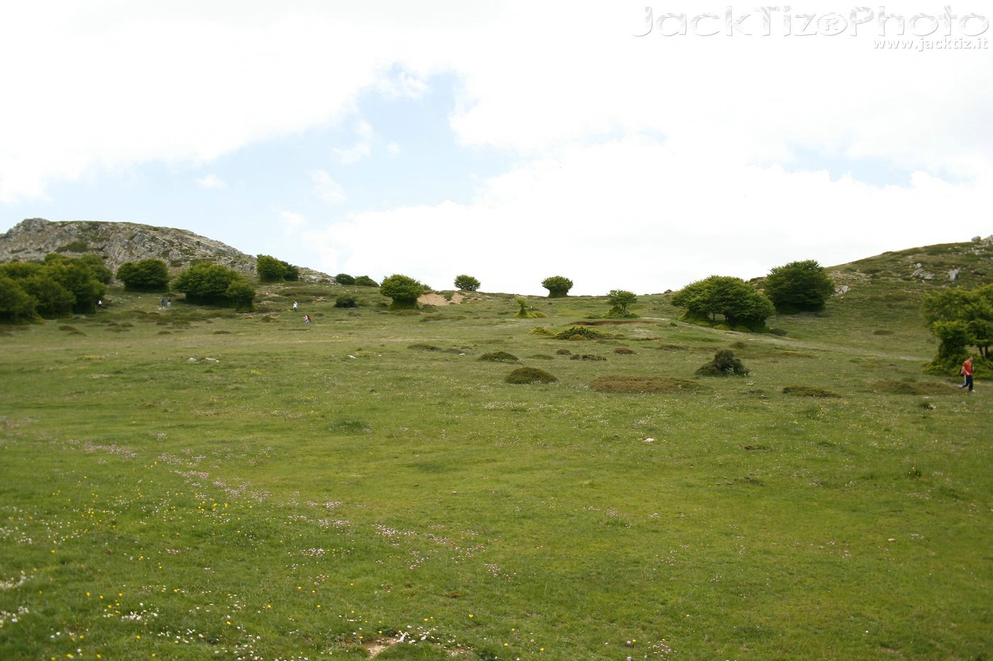 JackTiz - Copyright