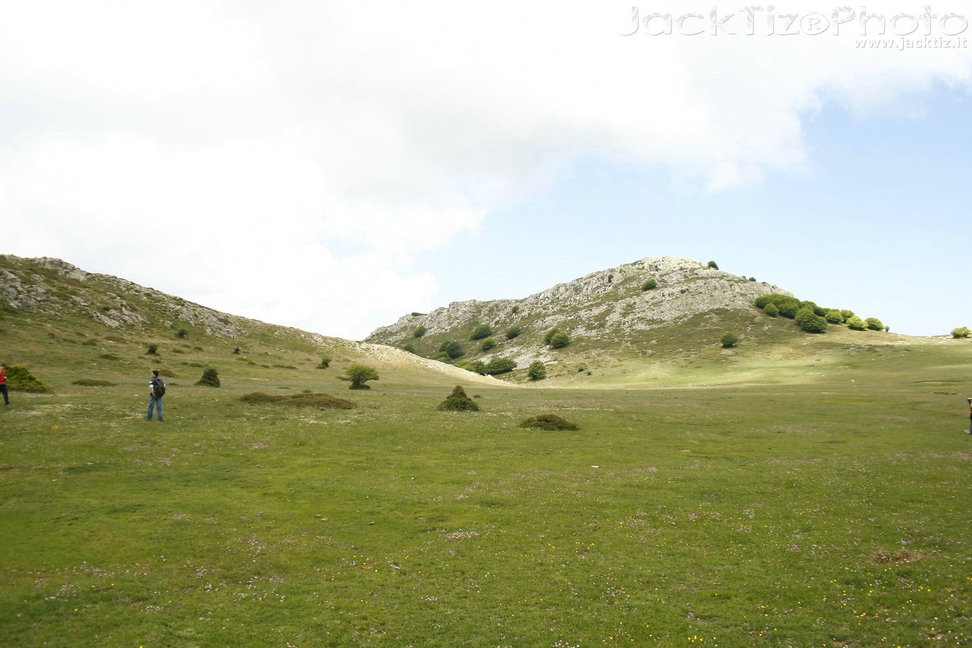 JackTiz - Copyright