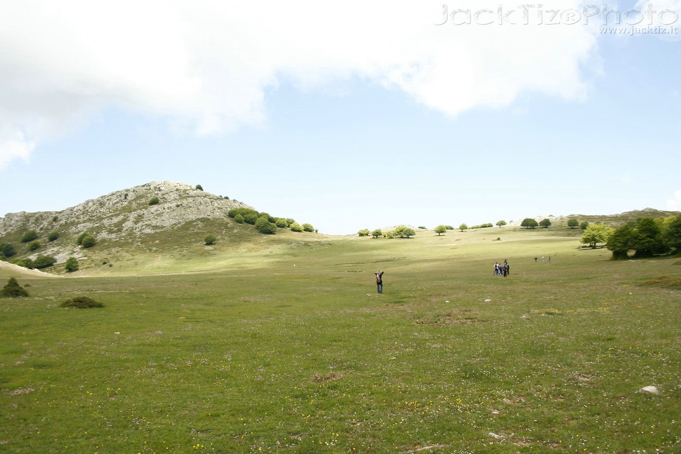 JackTiz - Copyright
