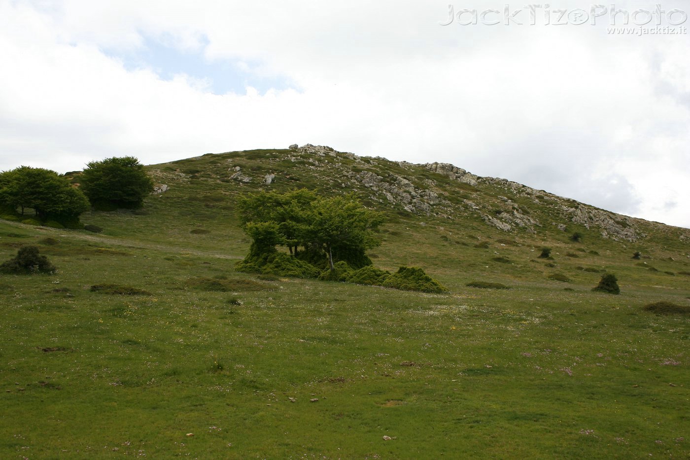 JackTiz - Copyright