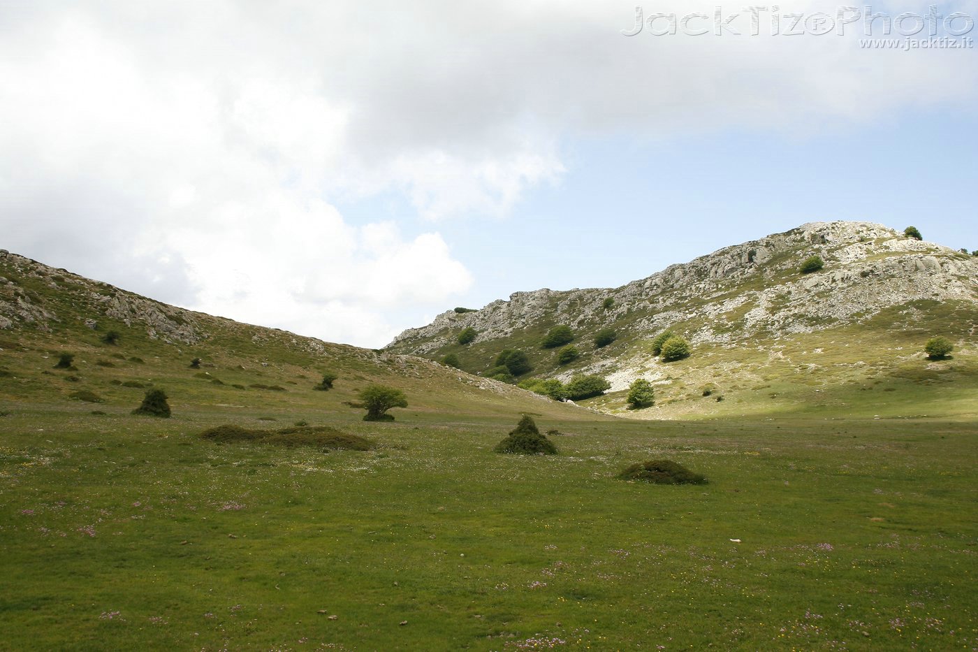 JackTiz - Copyright