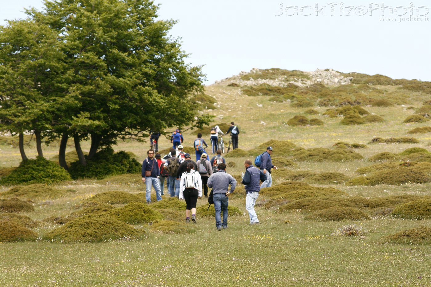 JackTiz - Copyright