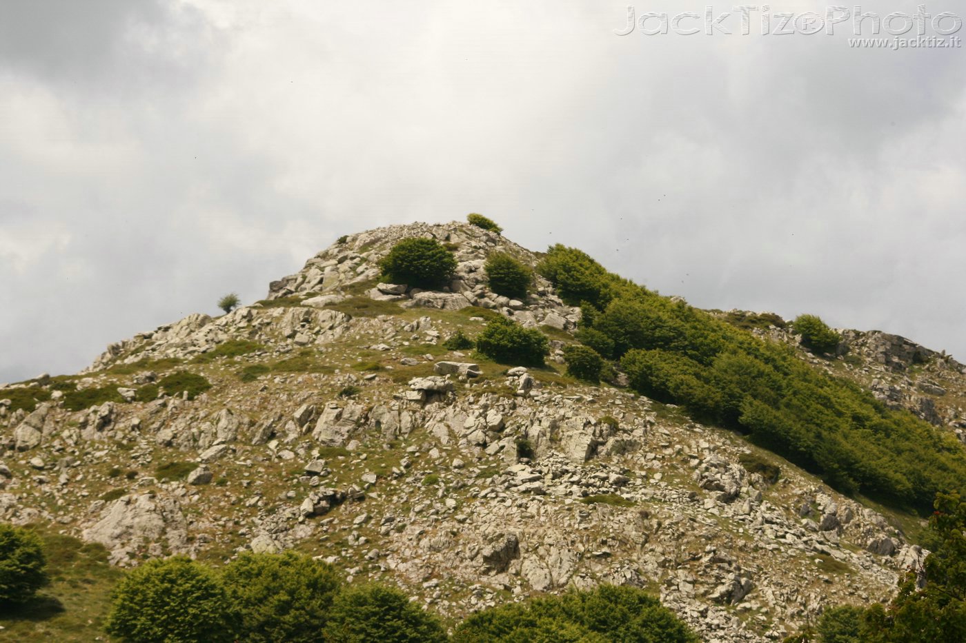 JackTiz - Copyright
