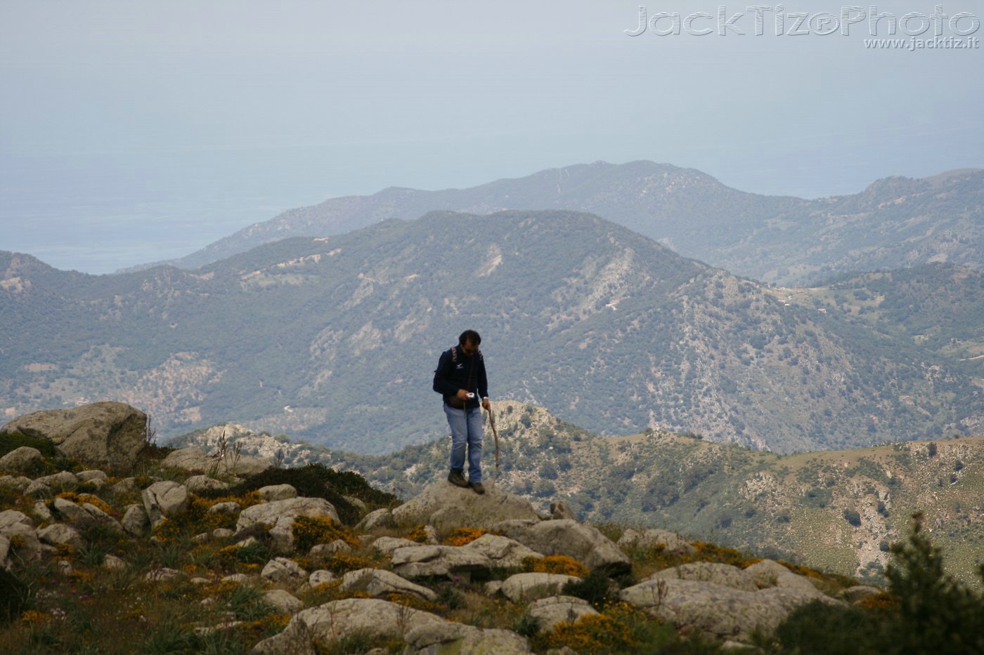 JackTiz - Copyright